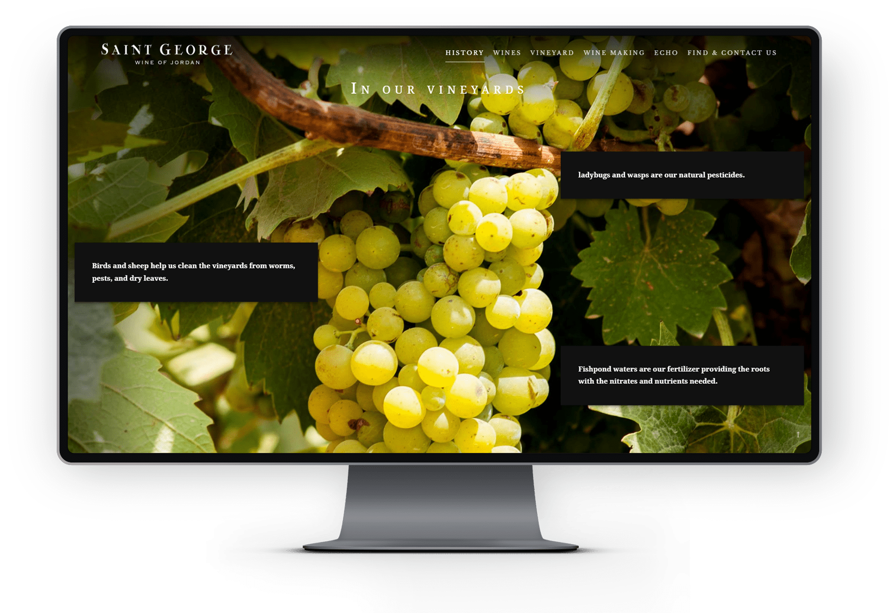 Page Vineyards desktop user interface design kero