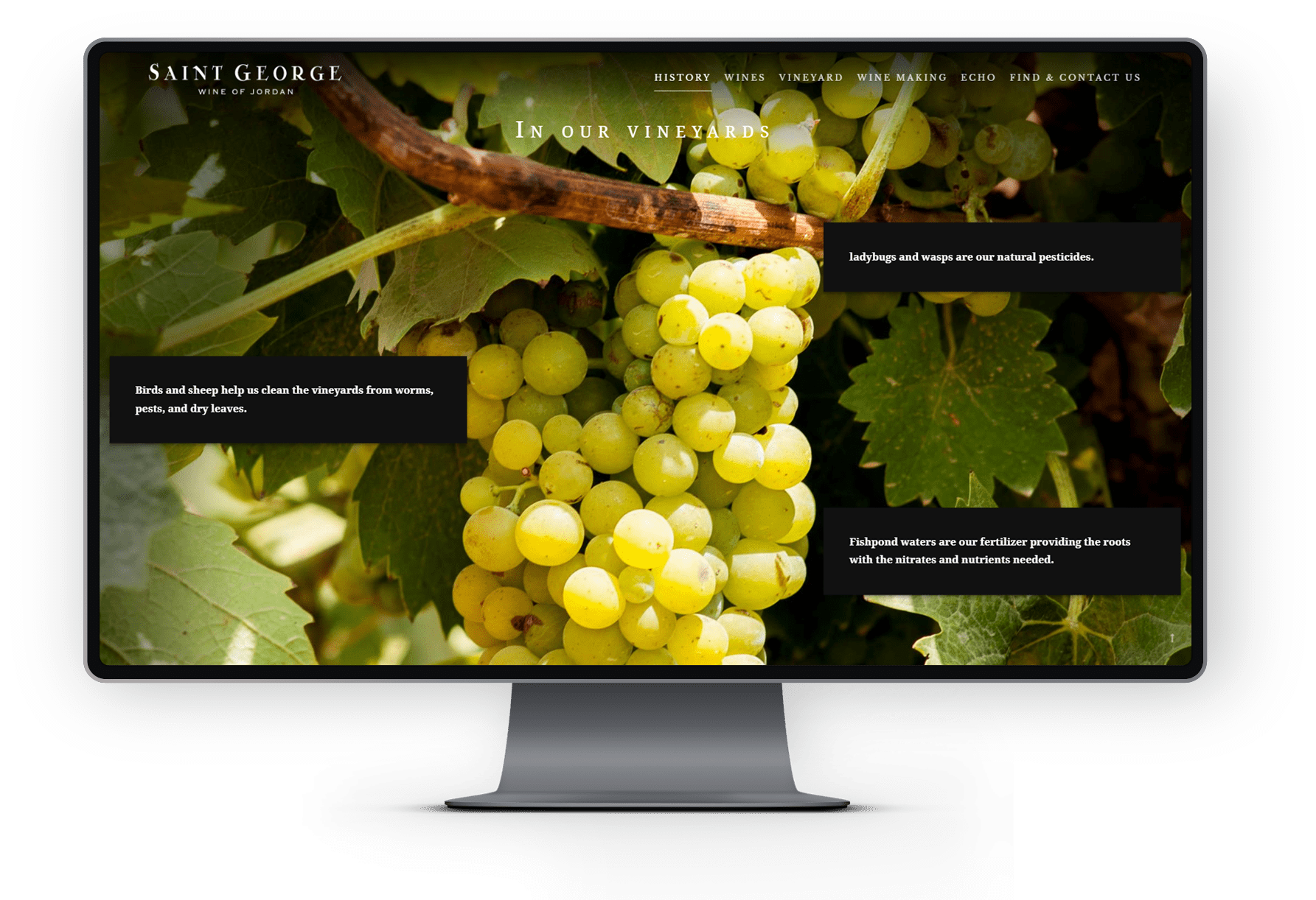 Page Vineyards desktop Page Vineyards desktop user interface design kero