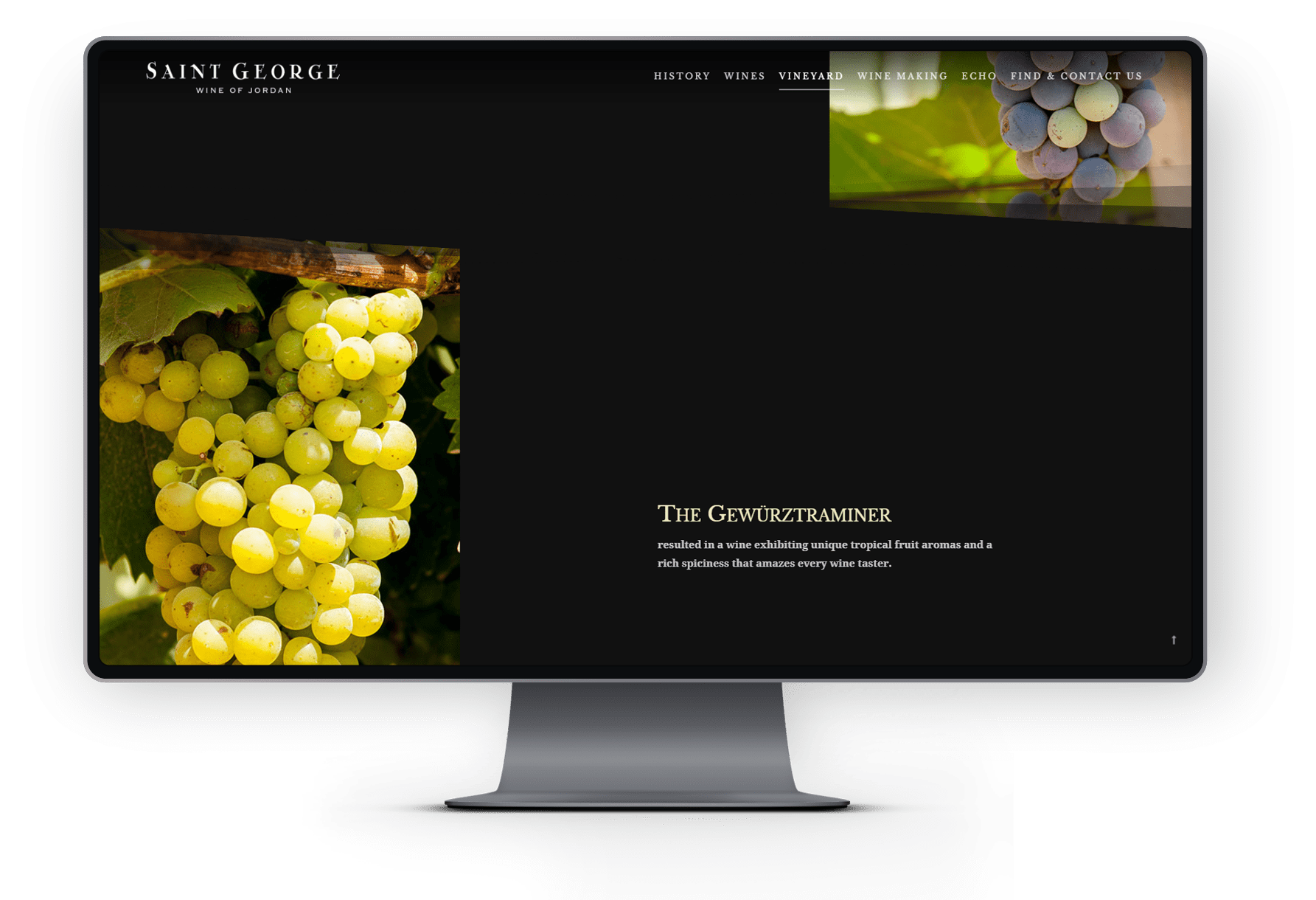 Wineyard Saint George Wine of Jordan desktop user interface design kero