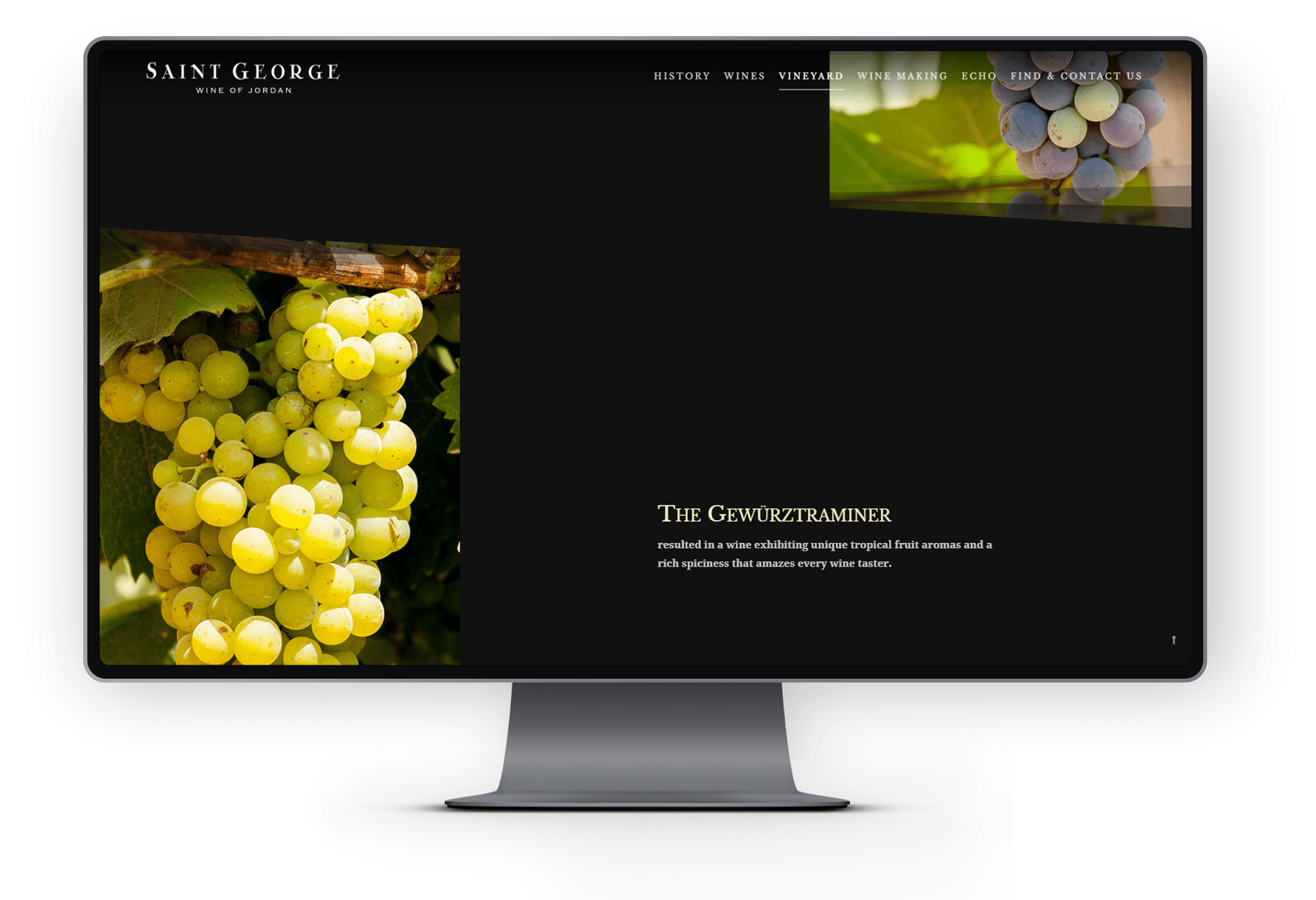 Wineyard Wineyard Saint George Wine of Jordan desktop user interface design kero