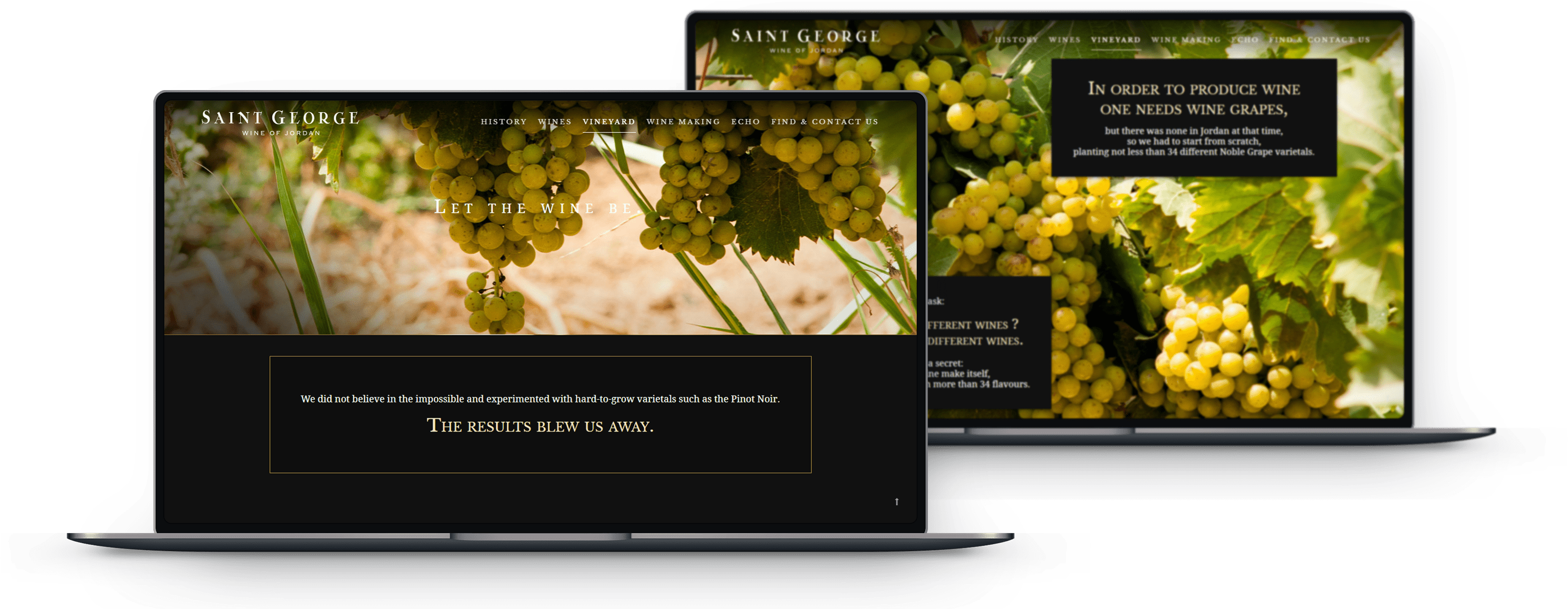 Wineyard Wineyard Saint George Wine of Jordan laptop user interface design kero